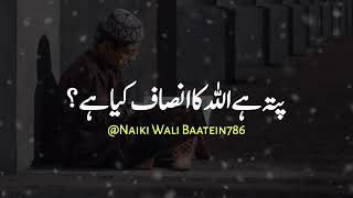 پتہ ہے اللہ کا انصاف کیا ہے؟  Pata Hai Allah Ka Insaf Kya Hai | Whatsapp IslamicVideos | Urdu Lines