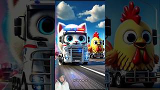 Evolution of Cats: A cat car vs. a chicken car #cuteanimals #shorts #cats #cute