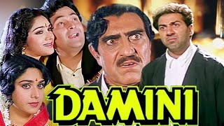 साल 1993 की HIT फिल्म,इंटरवल के बाद हुई थी सनी देओल की एंट्री, दमदार एक्टिंग के लिए जीत लिया था