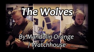 The Wolves - Anders Duus (Watchhouse / Mandolin Orange cover)