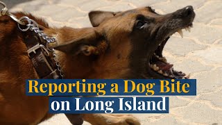 Reporting a Dog Bite on Long Island