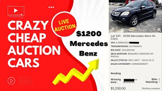 Bidding On Crazy Cheap Auction Cars At Live Auction in Canada without Dealer License!