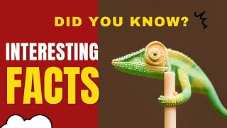 Rare Animal Facts | Interesting Things in Nature | Did You Know these Facts? | NatureTrivia