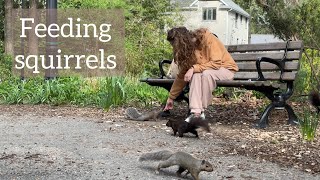 Squirrels | A walk in the park | Spring in Canada