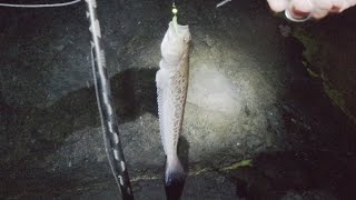 Light Rock Fishing - 03.08.23