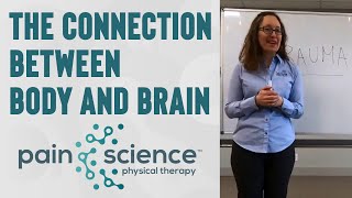 The Connection Between Body and Brain | Pain Science Physical Therapy