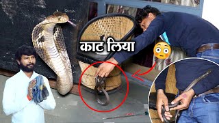 पहली बार Cobra ने की Snake Guru Sunil को काटने की कोशिश बाल बाल बच गए Murliwale Hausla के गुरु जी