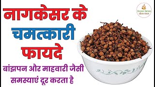 नागकेसर के फायदे जानकर हो जायेंगे आप हैरान | Benefits Of Nagkesar In Hindi | Nagkesar Ke Fayde