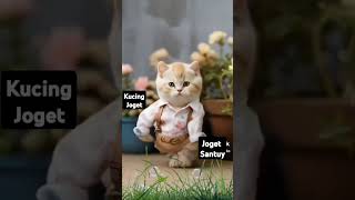 kucing lucu joget #pargoy #dance #dancechallenge #cat