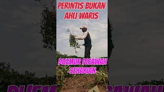 Bagi Perintis Hal Seperti Ini Sudah Biasa Terjadi