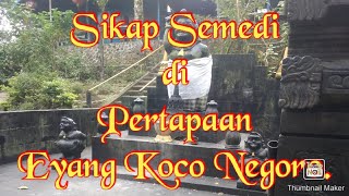 Sikap Semedi diPertapaan Eyang Koco Negoro Pringgodani.