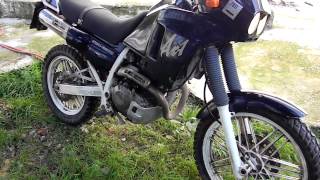 HONDA AX1 250