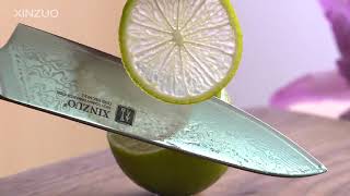 ⭐️XINZUO 8.5 inch Chef Knives High Carbon VG10 Japanese 67layer Damascus Kitchen Knife Stainless ☑️