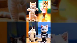 four liittle cats dance 😁 patali kamariya bole 😍😋 #cat #funny #dance #youtubeshorts