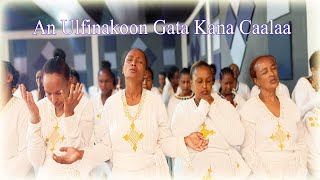 An Ulfinakoon Gata Kana Caalaa: Garee Haadholii