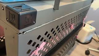 This Dog Crate Bumper Has Solved Our Happy Tail Problem!