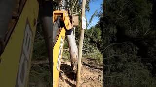 Escavadeira JCB 4CX derrubando eucalipto