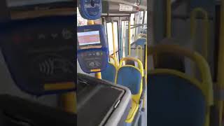 motorista bus maniaco amigo anuário do ceara 2020 2021 churrasco iracema