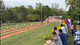 Mariposa ganadora en el hipódromo Las Mellizas San Javier Mnes