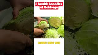 5 health benefits of cabbage #shorts #cabbage