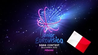 Junior Eurovision Song Contest 2015. Top 15