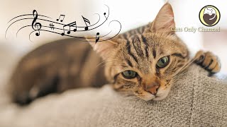 Cat Music - ​Soothing Sleep Music + Cat Purring Sounds / Anxiety Relief, Relaxation