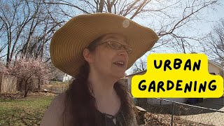 Urban Gardening - Sowing Seeds in Milk Jugs