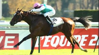 Sussudio - Maisons Laffitte Listed Flat Race (Runner Up Moved To Willie Mullins) [07/04/16]