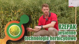 Rzepak | Jesienne 🍁 technologie herbicydowe