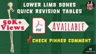 31 Lower Limb Bones - Quick Revision🔥 | Anatomy Decoded | Anatomy Lectures