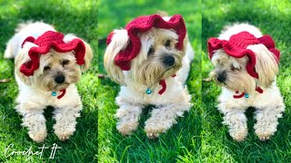 Crochet Dog/Cat bucket hat | Small | Full tutorial | Check the description box for more detail