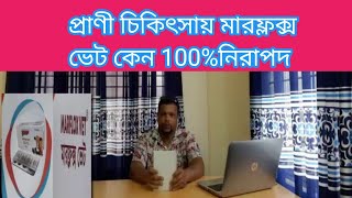 গরুর বিভিন্ন রোগ বালাই এ মারফ্লক্স ভেট কেন সবচেয়ে নিরাপদ।