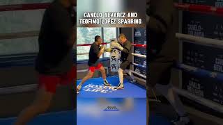 Canelo Alvarez And Tofimo Lopez sparring #fighting #ufc #mma #boxing