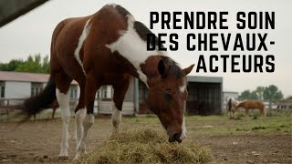 Santé et bien-être des chevaux pendant le tournage - Les cavaliers - Unis TV