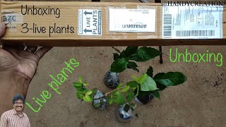 ఆన్లైన్ లో మొక్కలు తెపించుకోవచ్చు / live plants unboxing/మొక్కలు అన్బాక్సింగ్ /buy plants online