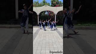 Students of TRIYAMBAKA NATYALAYA ✨#bharathanatyam #dance #dancecover#shorts