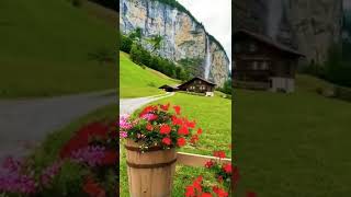 #switzerland #beautiful #nature #scenery #relaxing #birdsounds #flowers #love #youtube #shorts