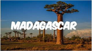 Madagascar |  Explore o Paraíso Perdido da Natureza