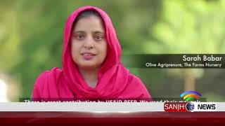 How to care olive with USAID cooperation | Sanjh  News