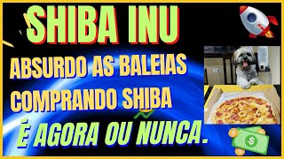 É OFICIAL: ISSO pode mandar a Shiba Inu pra LUA! (Shibarium 2023) 2 ZEROS PODE CORTA EM BREVE.