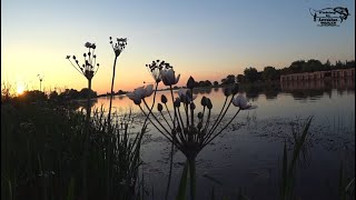 Рыбалка с ночевкой. Проверил старое место и нашел новое.