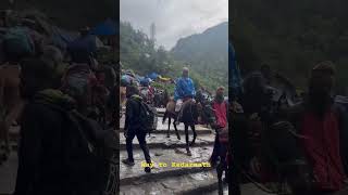 Beautiful view of water fall Journey to Kedarnath #shiv #kedarnath #viral #views #video #shiva