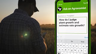 How do I judge plant growth and estimate rate growth? #AskAnAgronomist