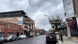 [4K] Downtown Chicago, IL US - Fall in Chicago on a windy day