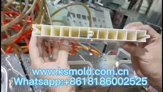 100mm*20mm PVC Door Panel Extrusion Mould/die/tool/mold