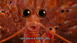 “I am one in a Krillion”