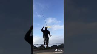 Huge Shark fishing San Diego