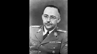 what happened to himmler after the war?