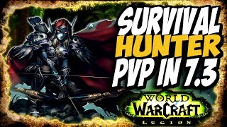 SURVIVAL HUNTER / RESTO DRUID PVP!! World Of Warcraft Patch 7.3