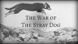 How a Dog Almost Caused a War...